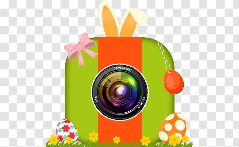 Easter Bunny Picture Frames Transparent PNG