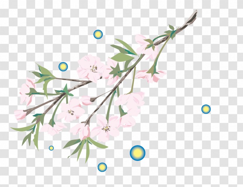 Medicinal Plants - Petal - Vector Flowers Transparent PNG