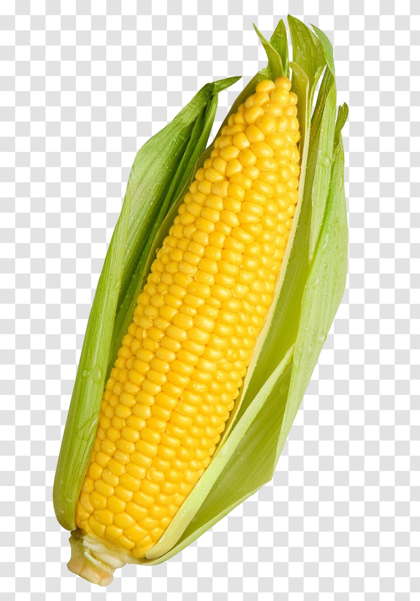 Corn On The Cob Maize Sweet Vegetable Food - Heirloom Plant Transparent PNG
