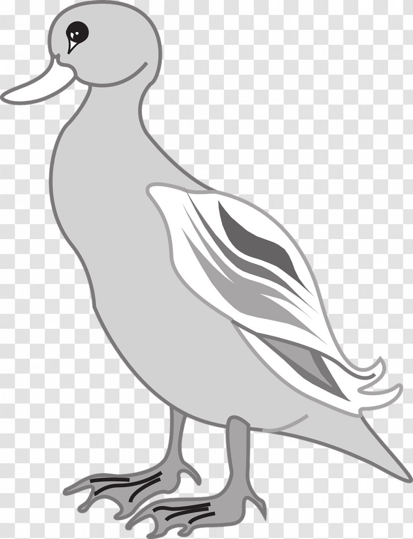 Duck Goose Bird Beak Wing - Neck Transparent PNG