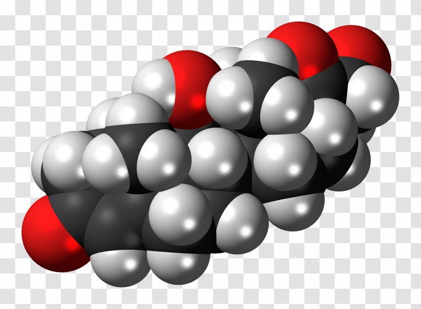 Cortisol Hormone Space-filling Model Stress Progesterone - Molecule Transparent PNG