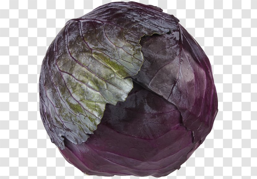 Vegetable Food Cabbage Ghormeh Sabzi Snack - Jujube Transparent PNG