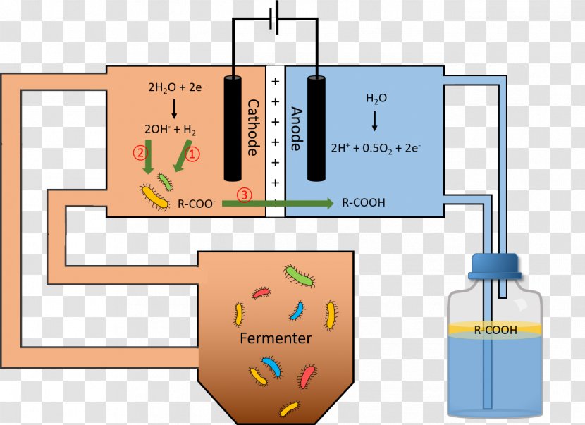 Microbial Fuel Cell Master's Degree Bioreactor University Pressure - Osmosis - Stillage Transparent PNG