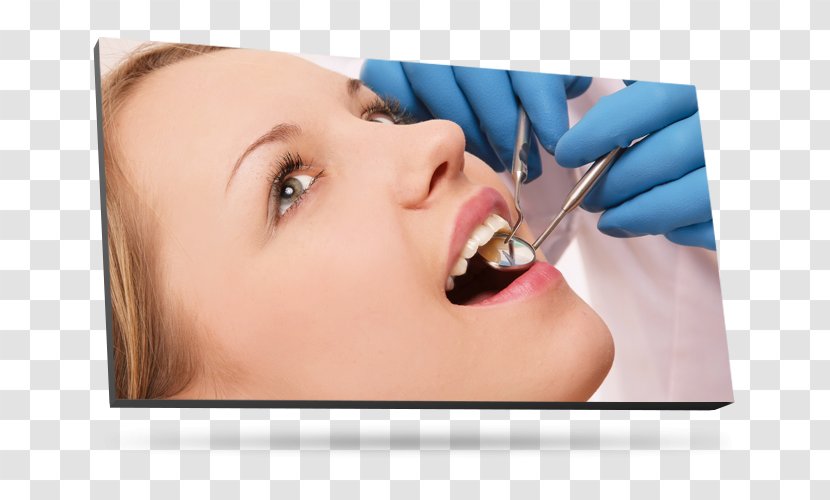 Dentistry Tooth Medicine Orthodontics - Eyebrow - Dental Health Transparent PNG