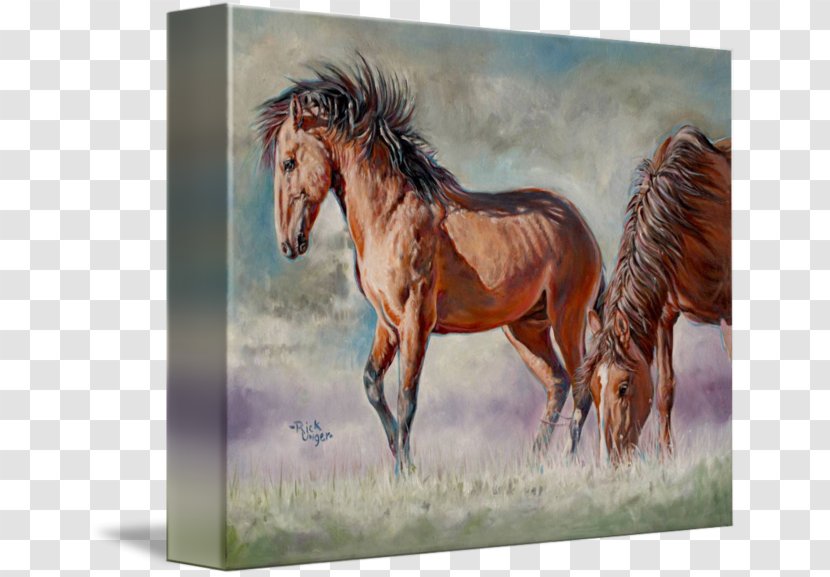 Mustang Stallion Mare Watercolor Painting Ecoregion - Horse Transparent PNG