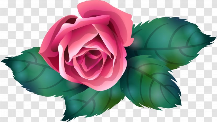 Garden Roses Centifolia Petal Flower Clip Art - Blue Rose Transparent PNG