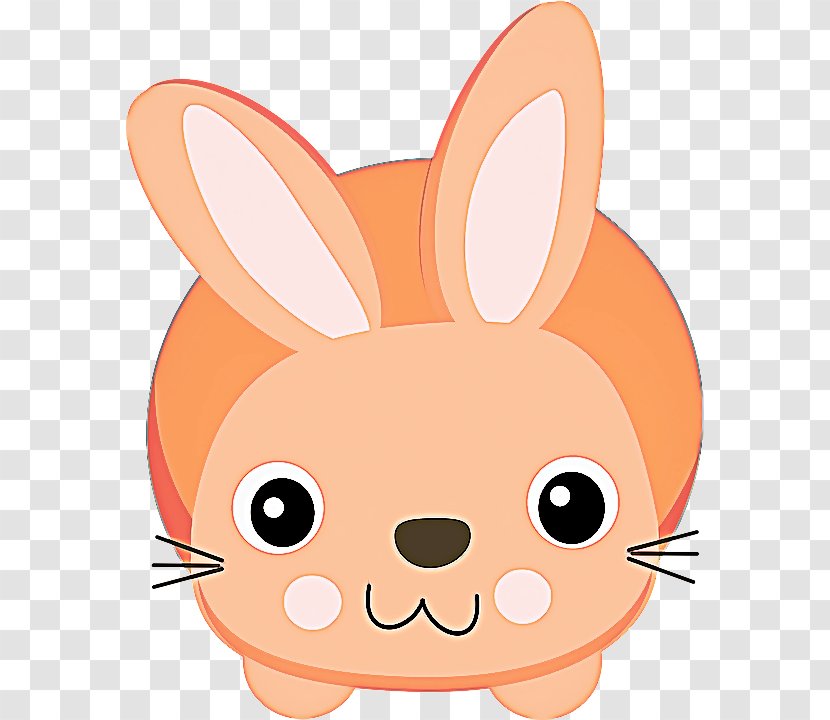 Rabbit Cartoon Nose Snout Rabbits And Hares - Tail Domestic Transparent PNG
