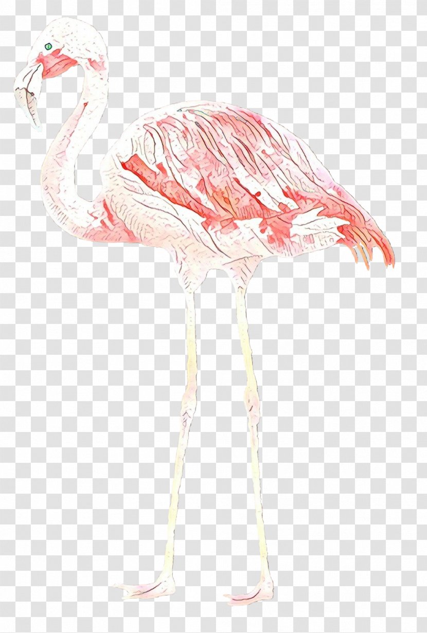 Feather - Leg Muscle Transparent PNG