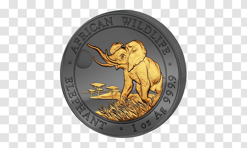 Silver Coin Africa Proof Coinage - Money Transparent PNG