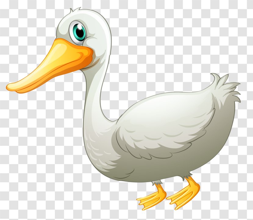 Duck Pato Branco Goose Drawing - Beak - White Transparent PNG
