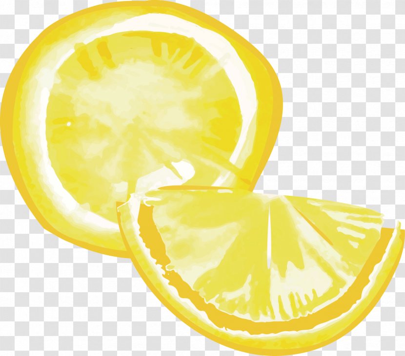 Lemon Citron Gouache - Citrus Transparent PNG