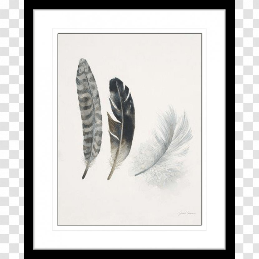 Feather Oil Painting Art Transparent PNG