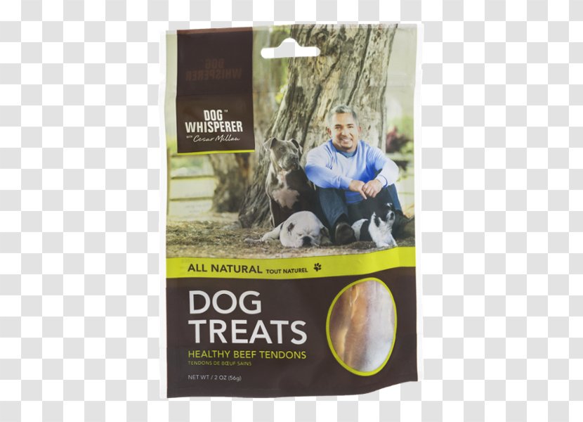 Dog Biscuit Pizzle Pet Food Transparent PNG