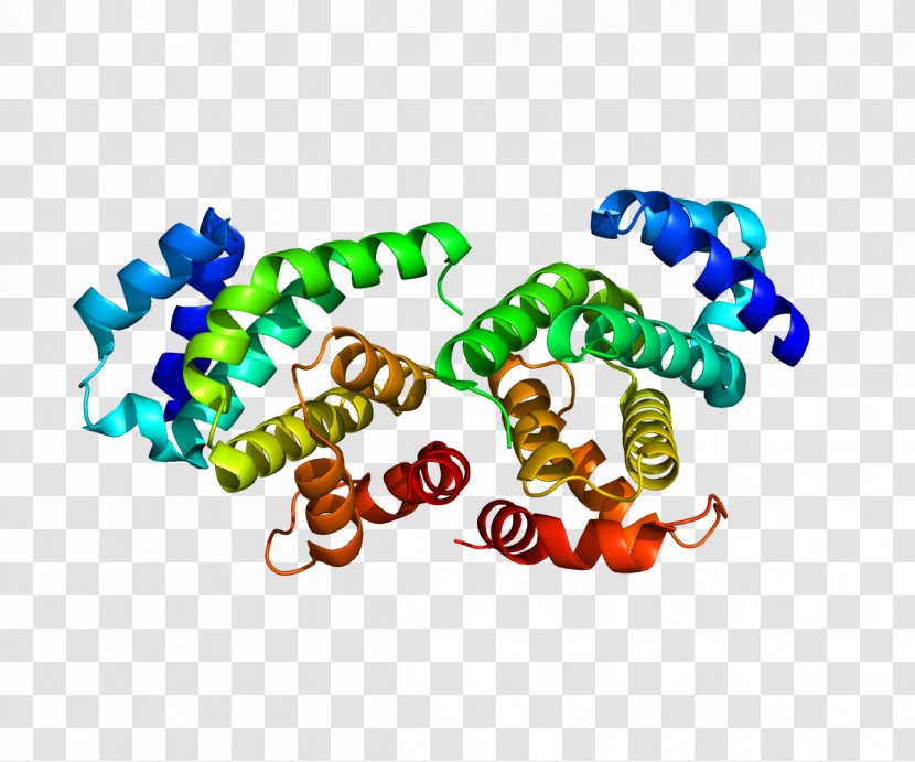 Eukaryotic Initiation Factor Protein Translation Gene - Heart - Cartoon Transparent PNG