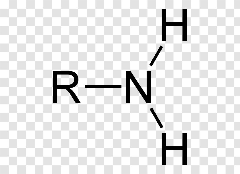 Amine Functional Group Chemistry Carboxylic Acid Carbonyl - Watercolor - Tree Transparent PNG