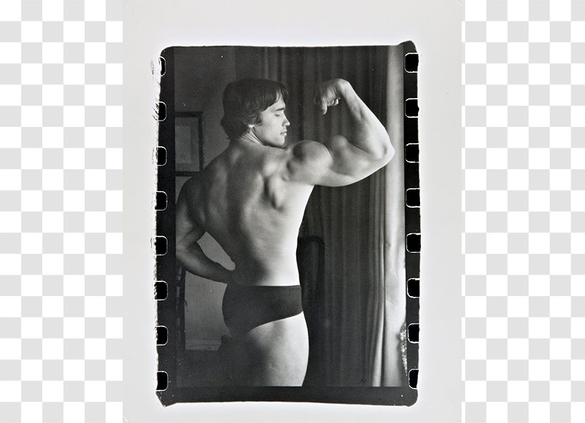 Photography Picture Frames Black And White Portrait - Silhouette - Arnold Schwarzenegger Transparent PNG