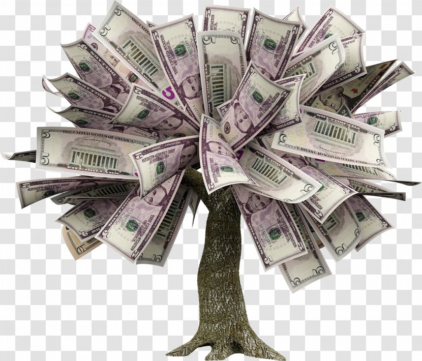 Guiana Chestnut Money Finance Investment Saving - Currency - Tree Transparent PNG