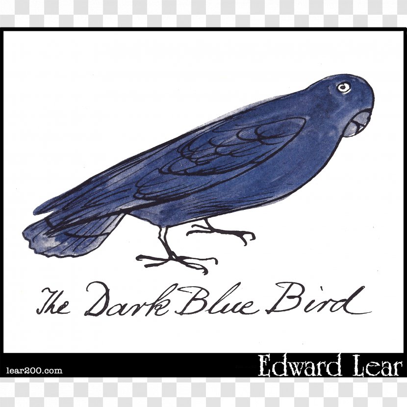 Beak Cobalt Blue Feather - Post Cards Transparent PNG