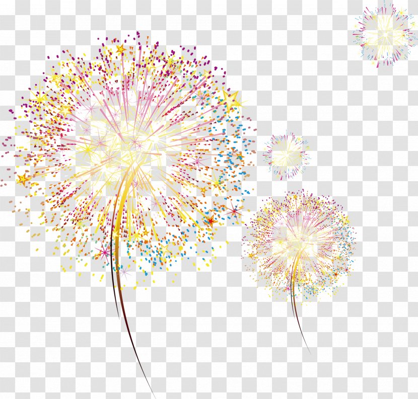 Fireworks - Teachers Day Transparent PNG