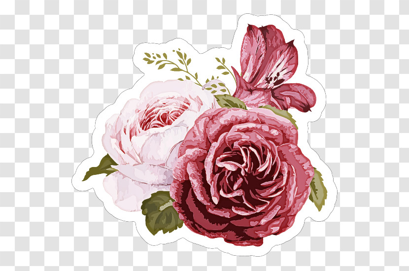 Garden Roses Transparent PNG