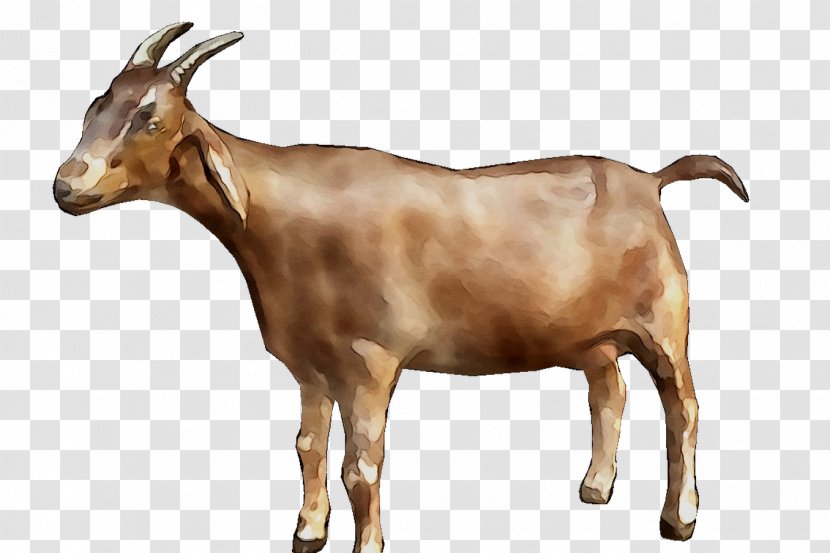 Goat Simulator Clip Art Image - Goatantelope - Horn Transparent PNG