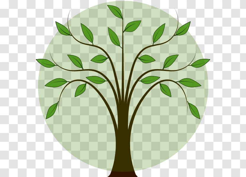 Tree Oak Clip Art - Plant - Two Leaves Transparent PNG