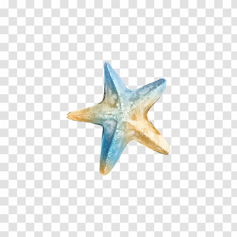 Logo Ta Clip Art - Sand Dollar - Watercolor Starfish Transparent PNG
