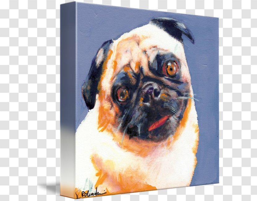 Pug The Blue Boy Dog Breed Pinkie Painting Transparent PNG