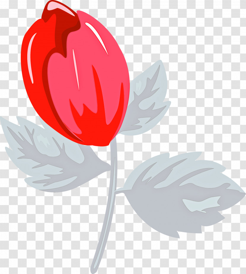 Leaf Tulip Plant Tree Flower Transparent PNG