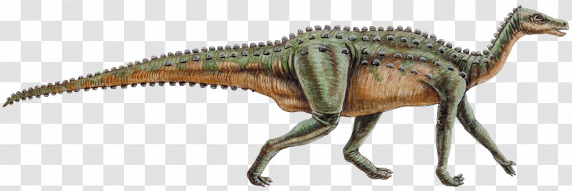 Thescelosaurus Dinosaur Genasauria Lagosuchus Cerapoda - Velociraptor - Cretaceous Transparent PNG