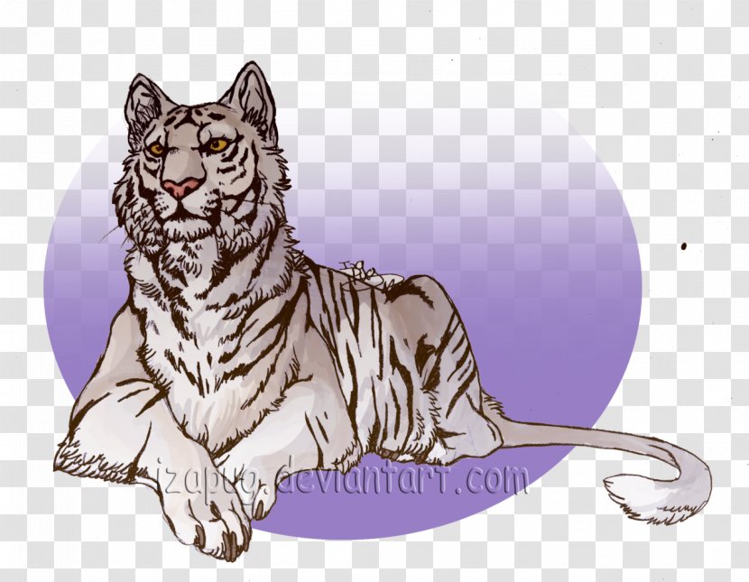 Whiskers White Tiger Tabby Cat - Big Cats Transparent PNG