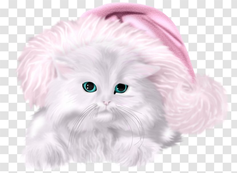 Kitten Whiskers Cat Christmas - Paw - Hat Little Transparent PNG