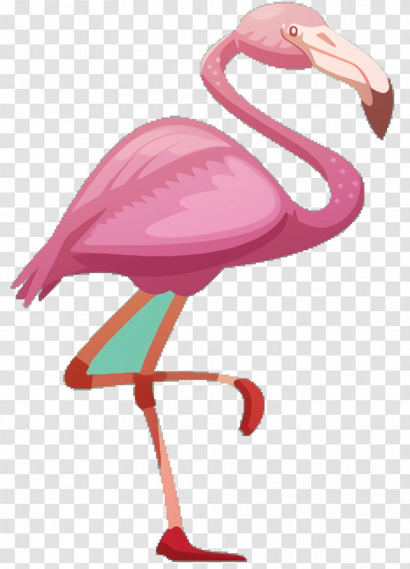 Pink Flamingo - Water Bird Transparent PNG