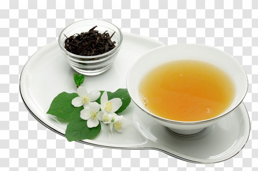 Flowering Tea Hu014djicha Arabian Jasmine Green - Camellia Sinensis - Drink Transparent PNG