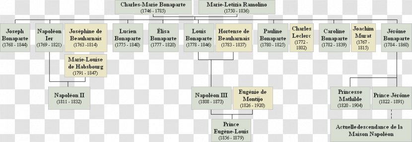 Napoleonic Wars House Of Bonaparte Genealogy Family History - Sister Transparent PNG