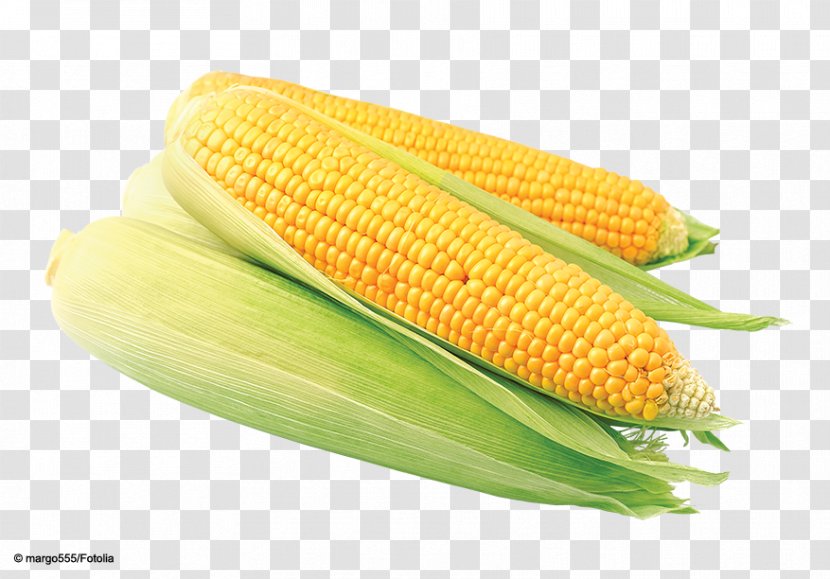 Corn On The Cob Sweet Maize Kernel Food - Ingredient Transparent PNG