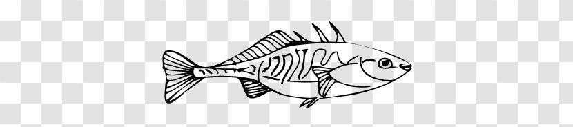 Fish Outline Clip Art - Black Of A Transparent PNG