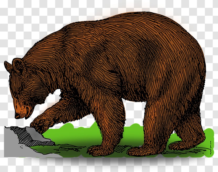 Brown Bear, What Do You See? American Black Bear Clip Art - Flower Transparent PNG