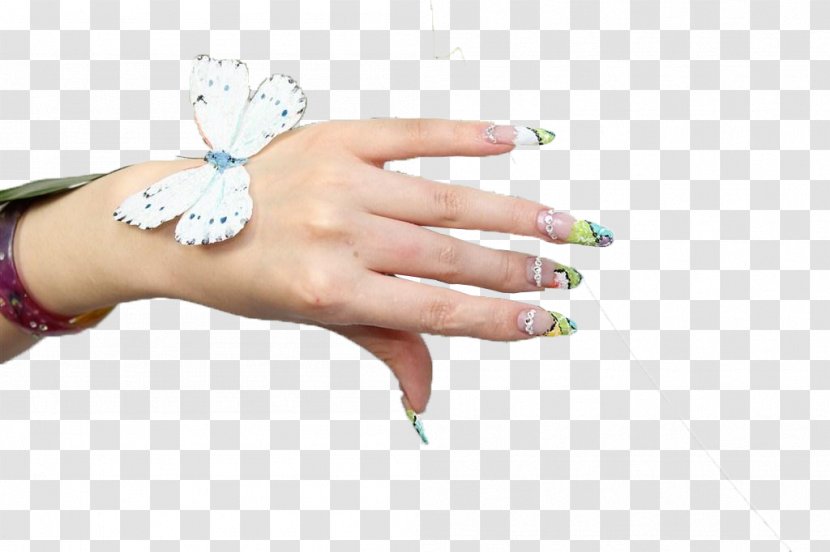 Nail Manicure Hand Model - Shoumo Transparent PNG