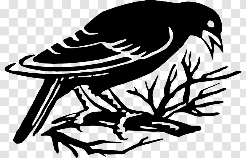 Bird Silhouette Drawing - Tree Transparent PNG