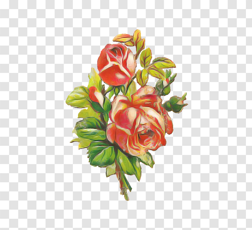 Garden Roses Transparent PNG