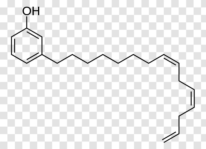 Cashew Nutshell Liquid Cardanol Anacardic Acids Phenalkamine - Anacardium - Under Water Transparent PNG