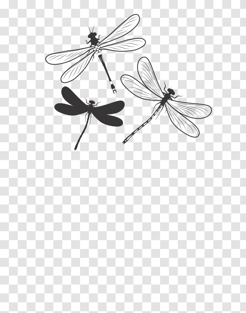 Insect Butterfly Pollinator Monochrome Photography Black And White - Symmetry - Dragon Fly Transparent PNG