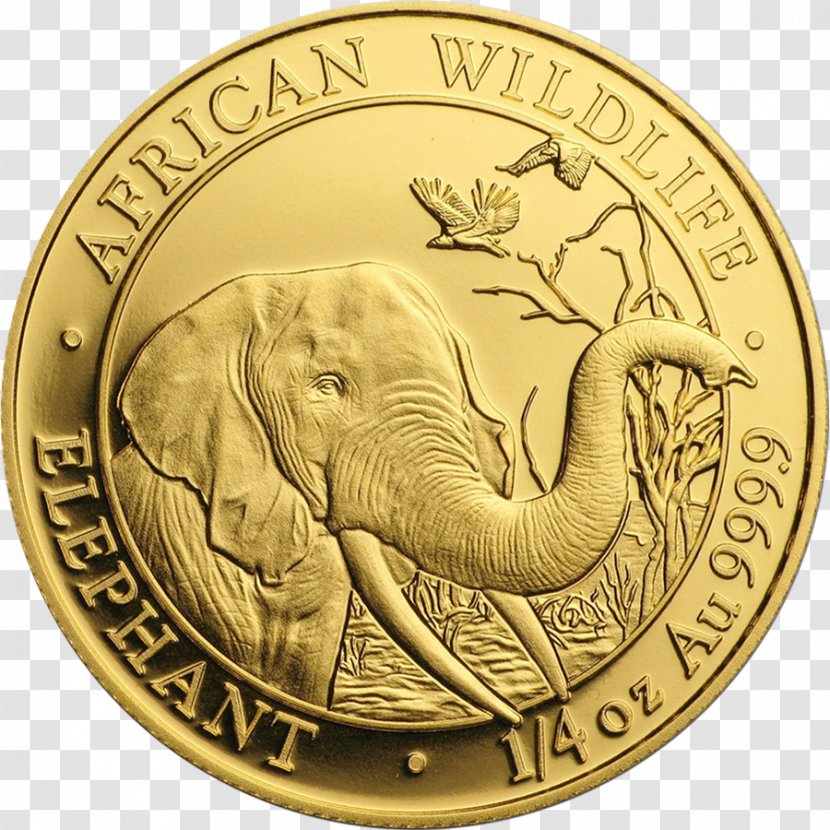 Gold Coin Perth Mint Indian Elephant - Elephantidae Transparent PNG