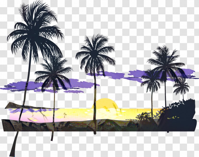 Clip Art Beach Vector Graphics Sunset - Attalea Speciosa - Silhouette Transparent PNG
