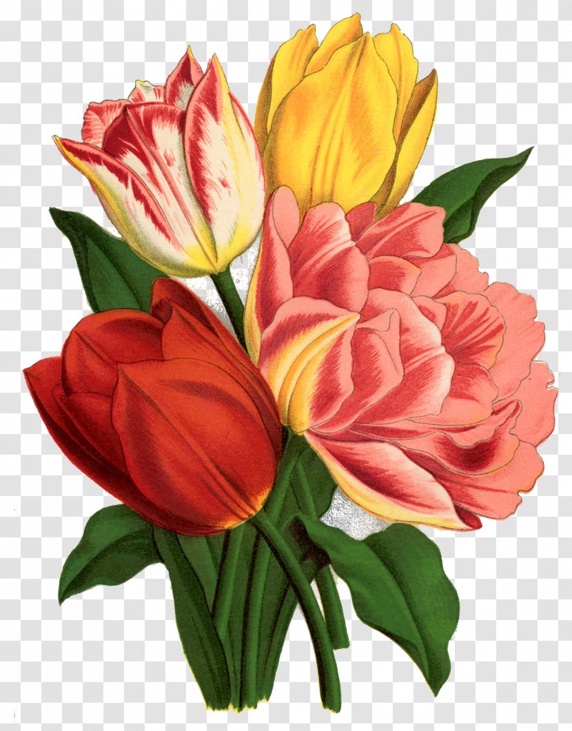Tattoo Tulip Flower Clip Art - Floral Design Transparent PNG