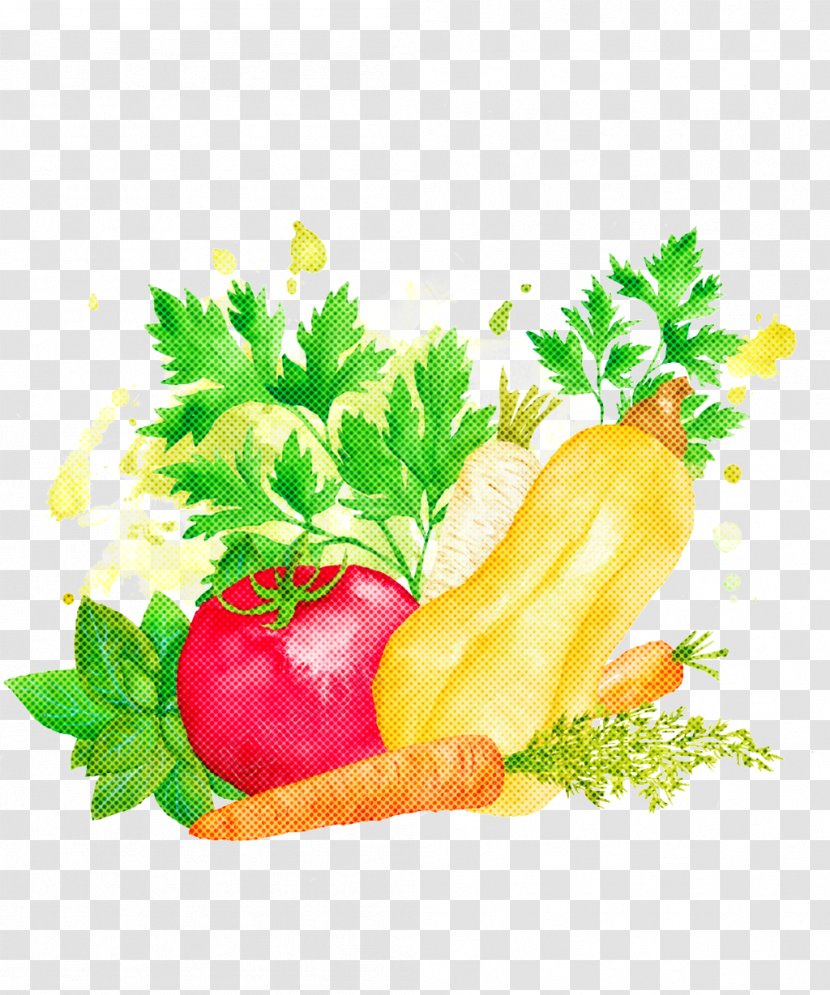Parsley - Vegetable - Vegetarian Food Plant Transparent PNG