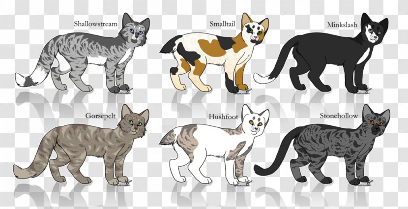 Cat Coat Genetics Kitten Warriors Fur - Animal Figure Transparent PNG