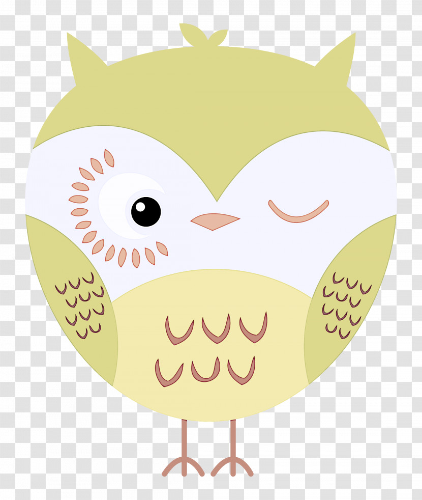 Owls Birds Beak Cartoon Bird Of Prey Transparent PNG