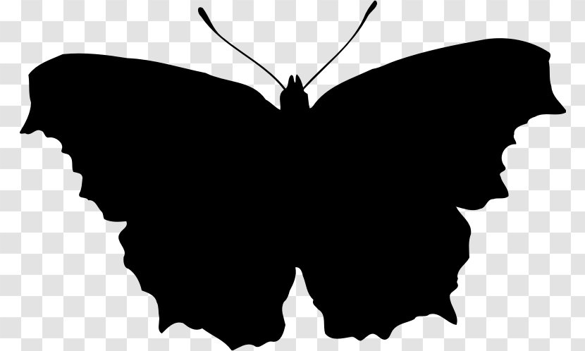 Butterfly Silhouette Clip Art - Black And White Transparent PNG